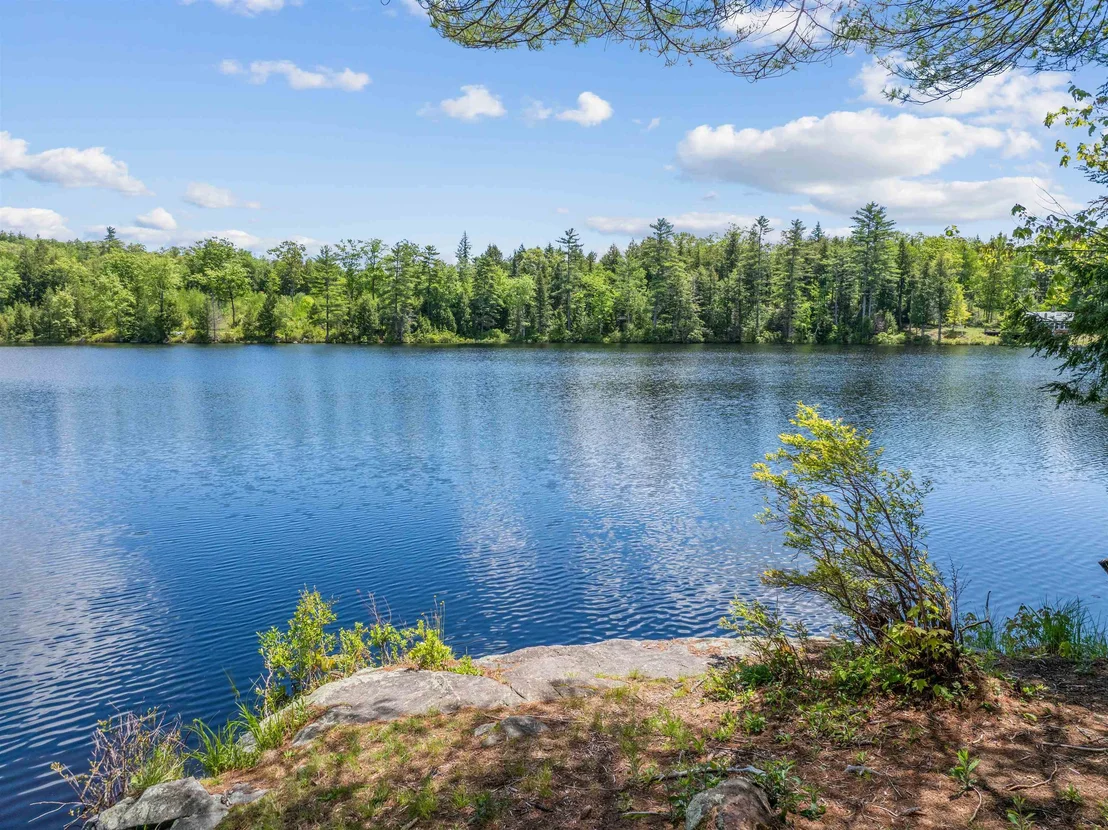 Photo of 47 Forest Pond