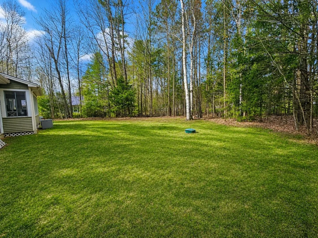Photo of 9 Clover