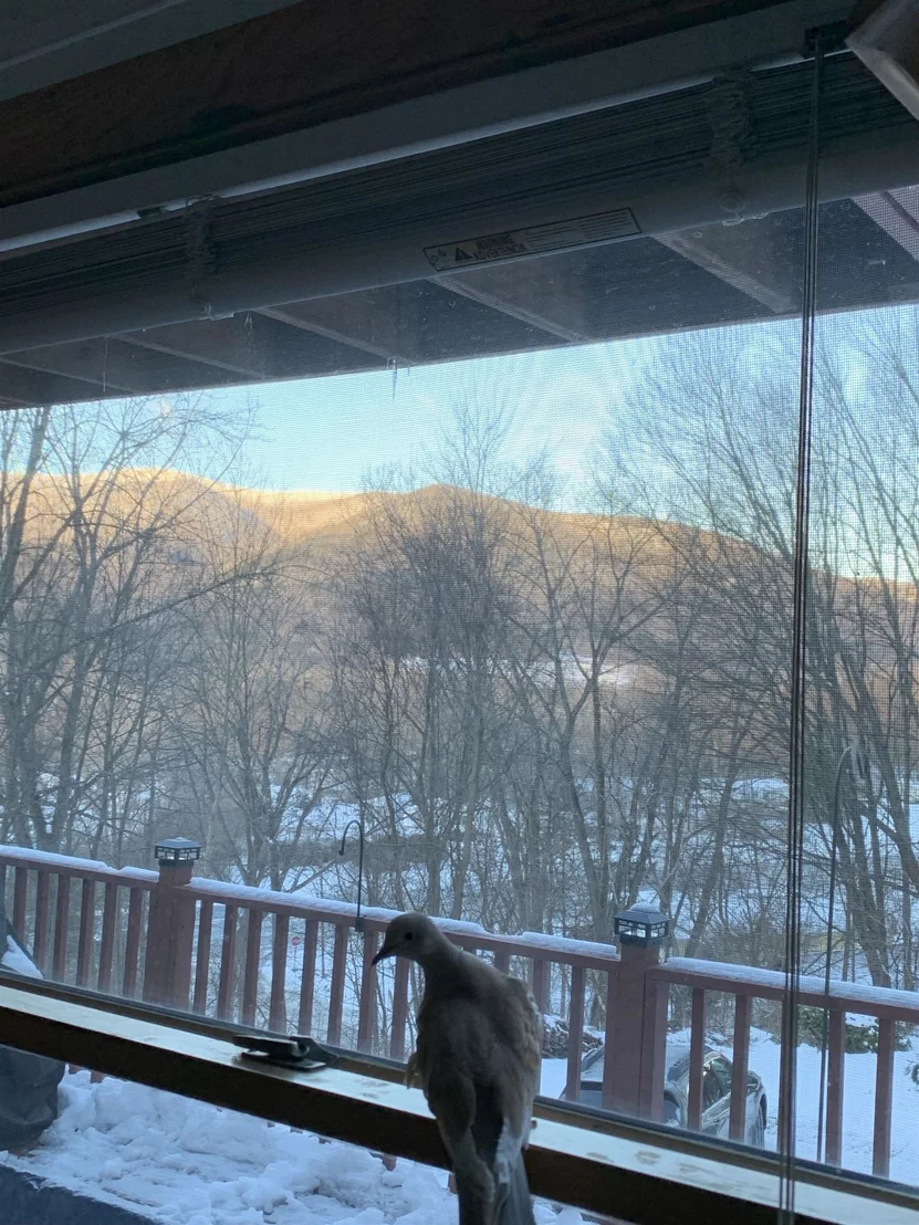 Photo of 87 B Hill