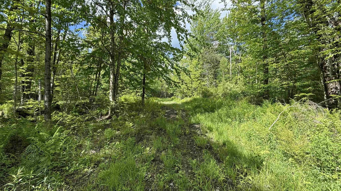 Photo of 716 Cemetery