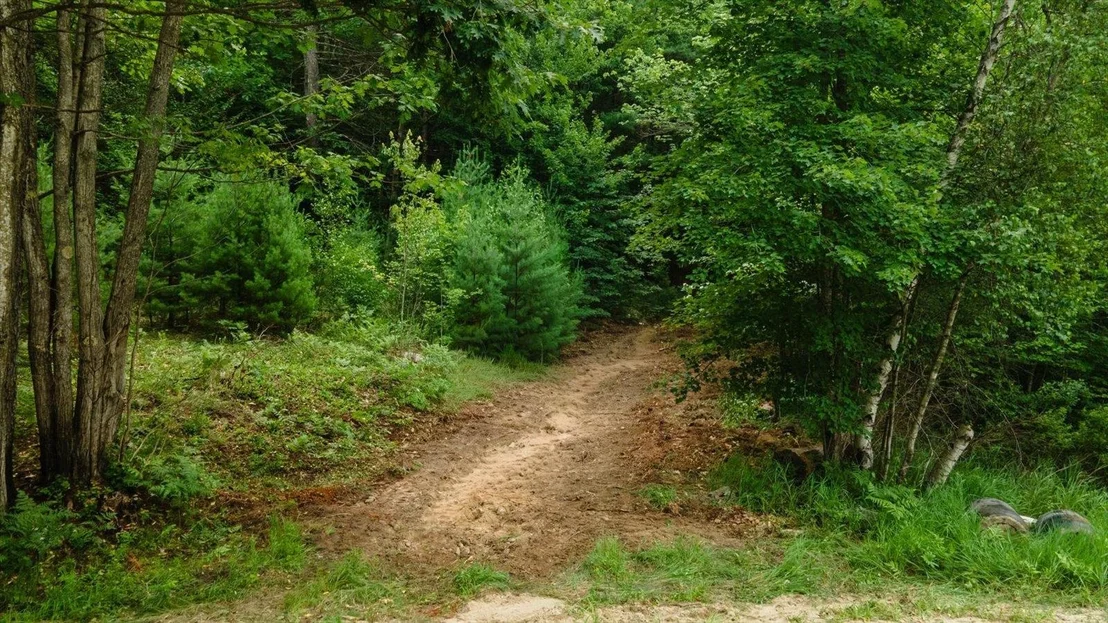 Photo of Lot 0 Pine