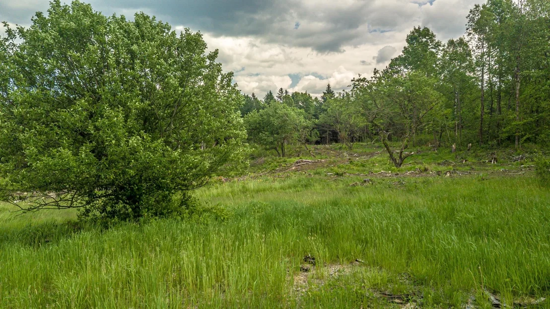 Photo of 53 Pleasant Valley