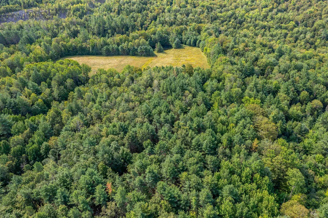 Photo of Lot #4 Meadow