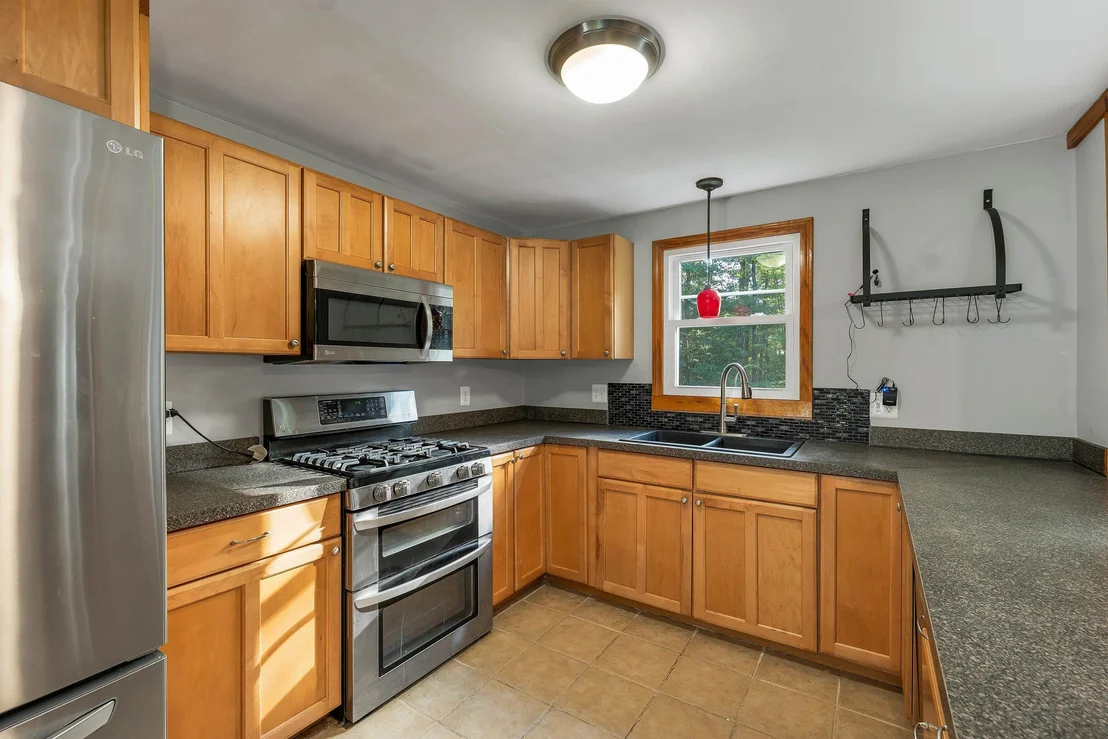 Photo of 30 Elderberry