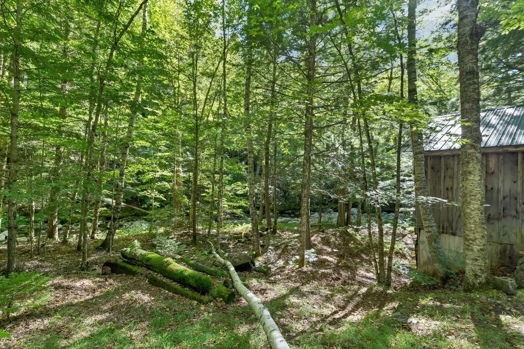 Photo of 32 Johnson Brook
