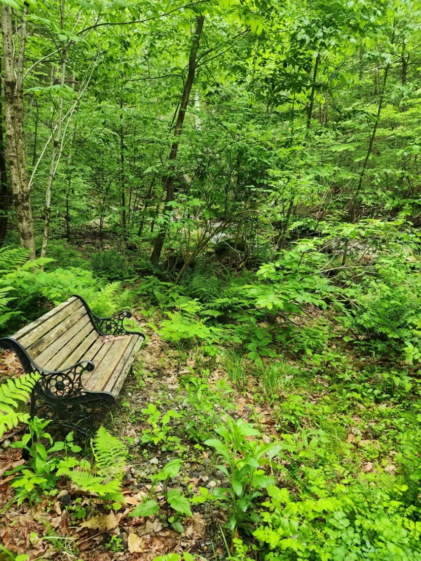Photo of 183 Bear Hill