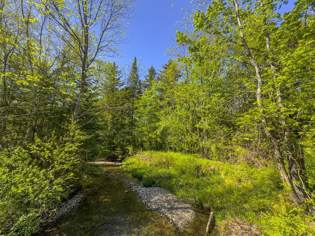 Photo of 297 Robinson