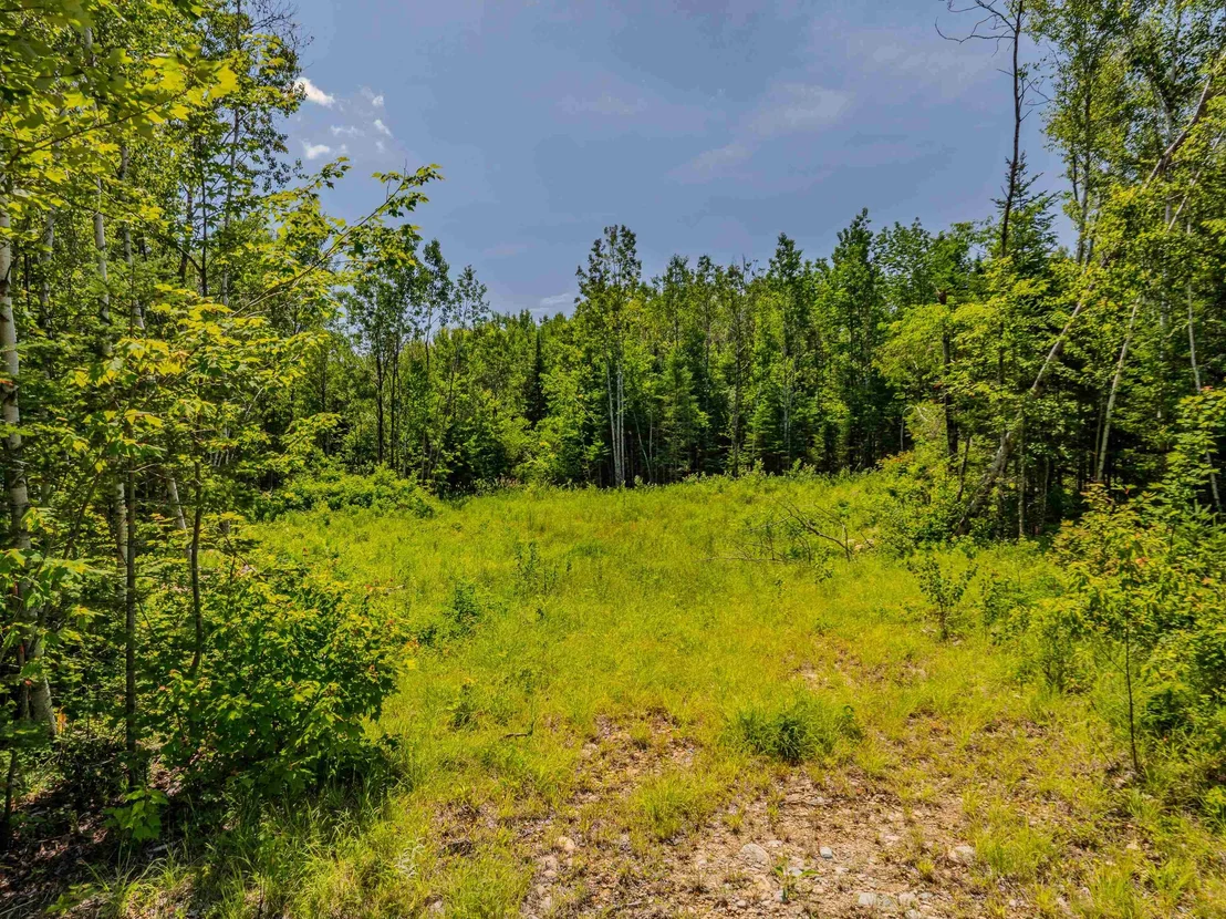 Photo of Unit LOT7819 at 117 Sugarloaf