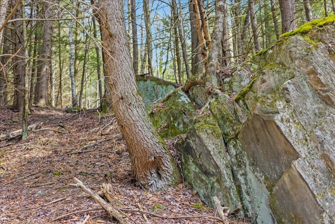Photo of Lot 3 Hemlock
