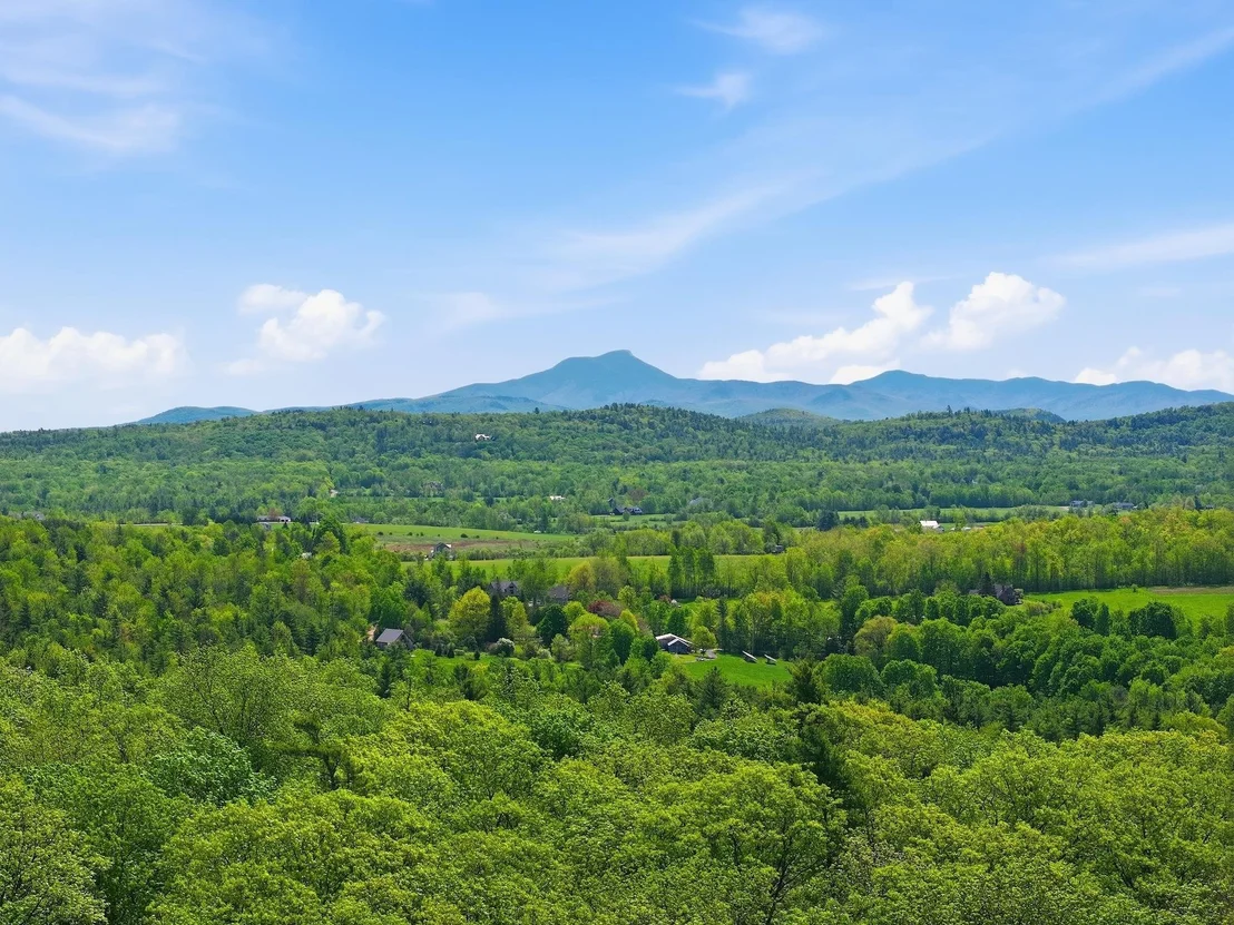 Photo of 189 Shagbark
