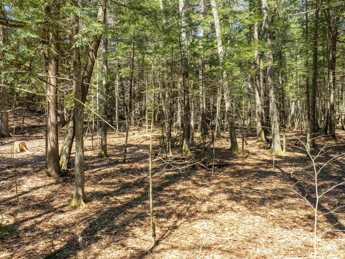 Photo of 00 Morrill Bend