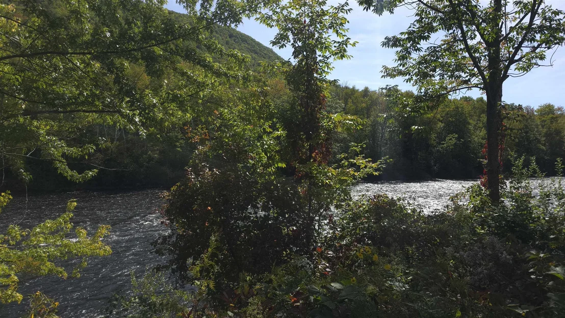 Photo of 24 Cascade