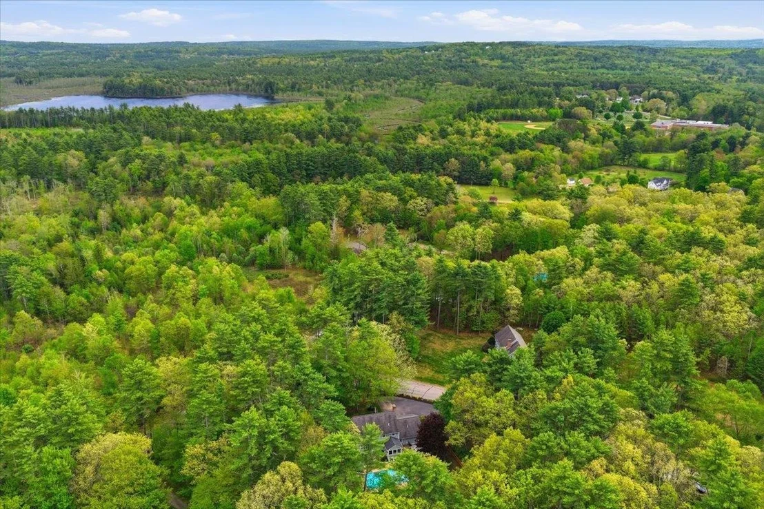 Photo of 14 Forest