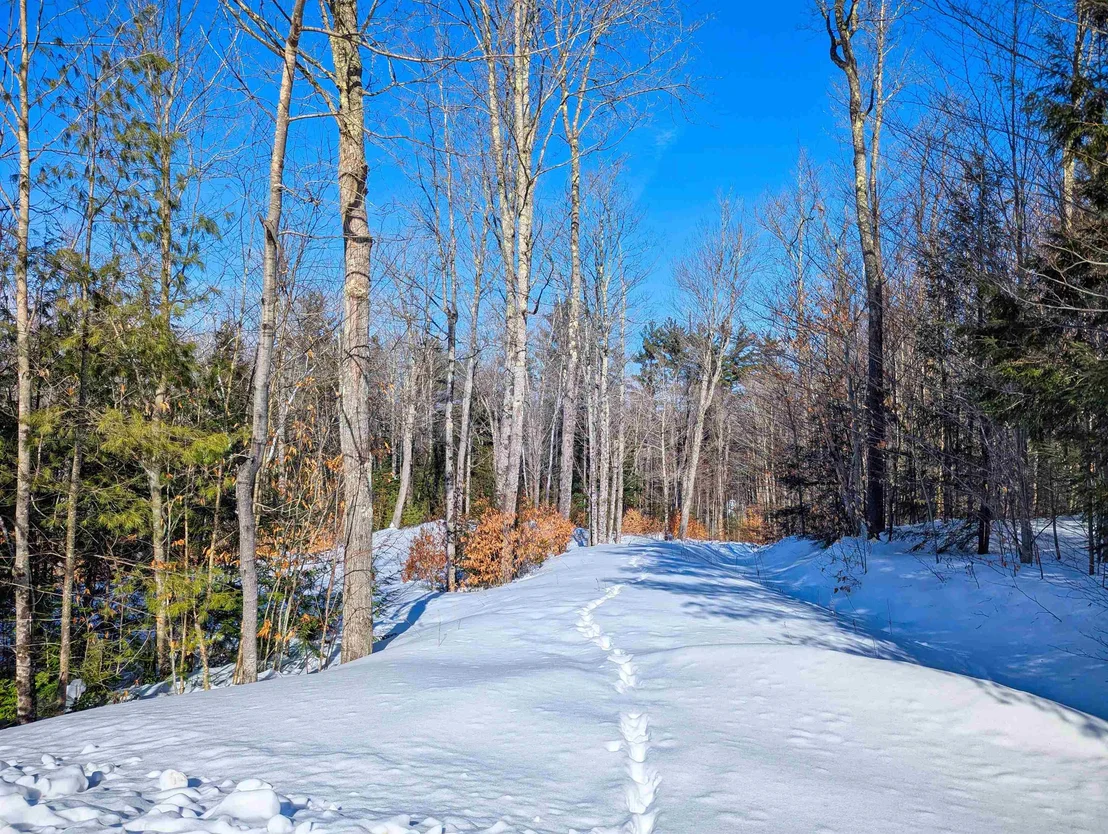 Photo of 00 Garden Loop