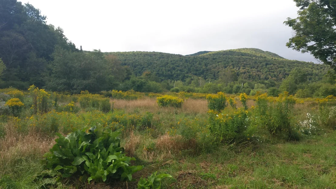 Photo of 0 Old County