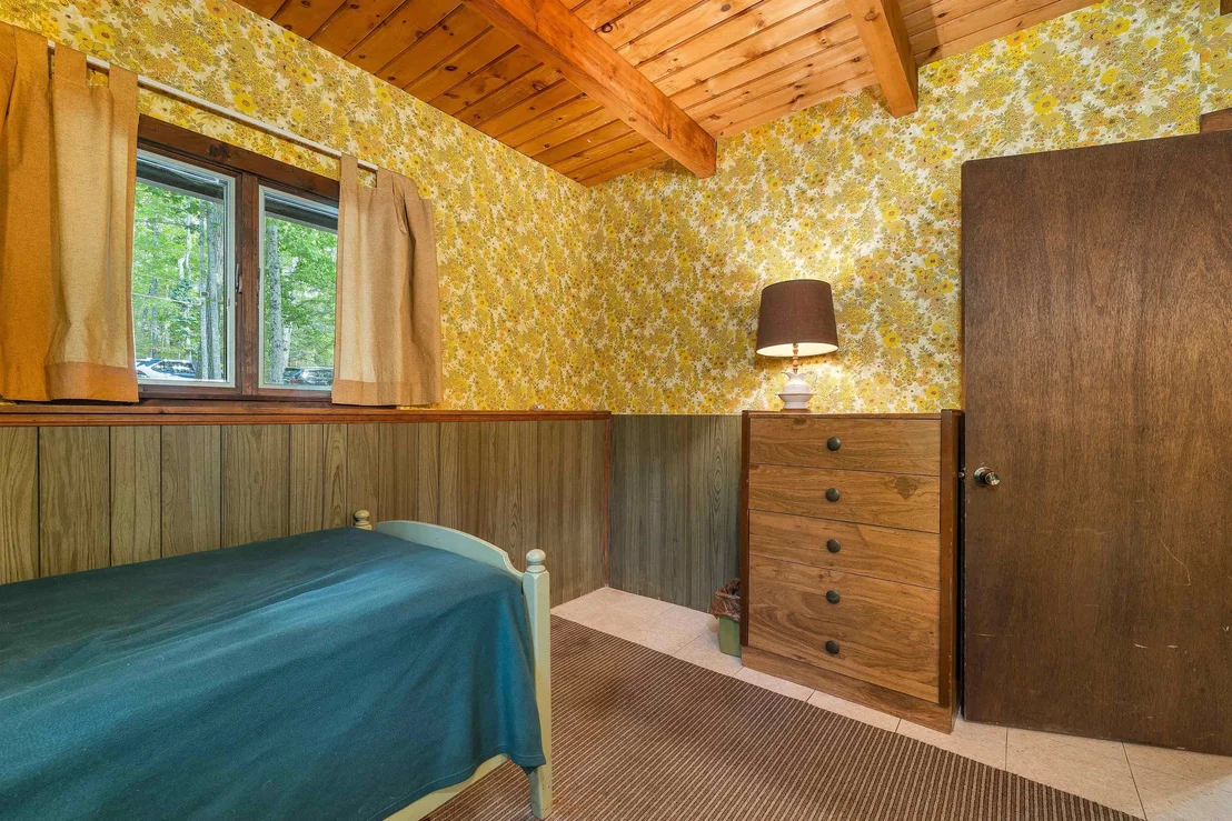 Photo of 49 Kings Pine
