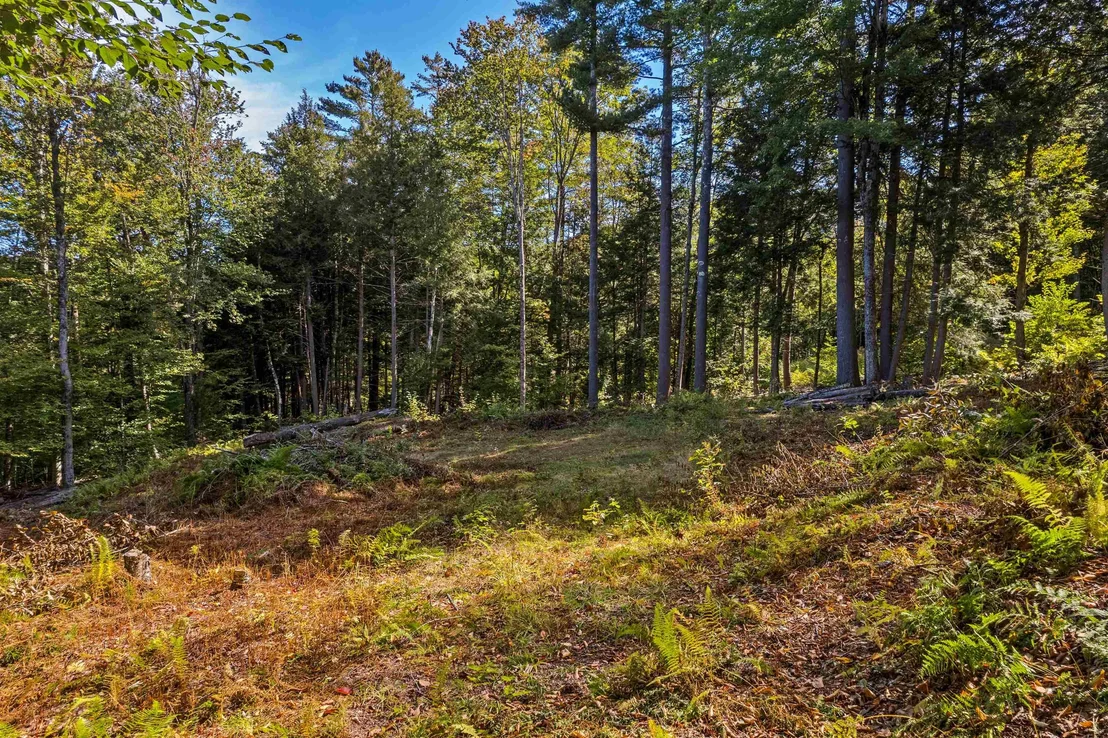 Photo of 664 Ranney