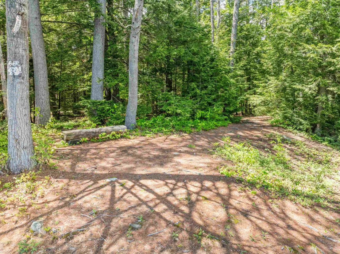 Photo of 47 Forest Pond