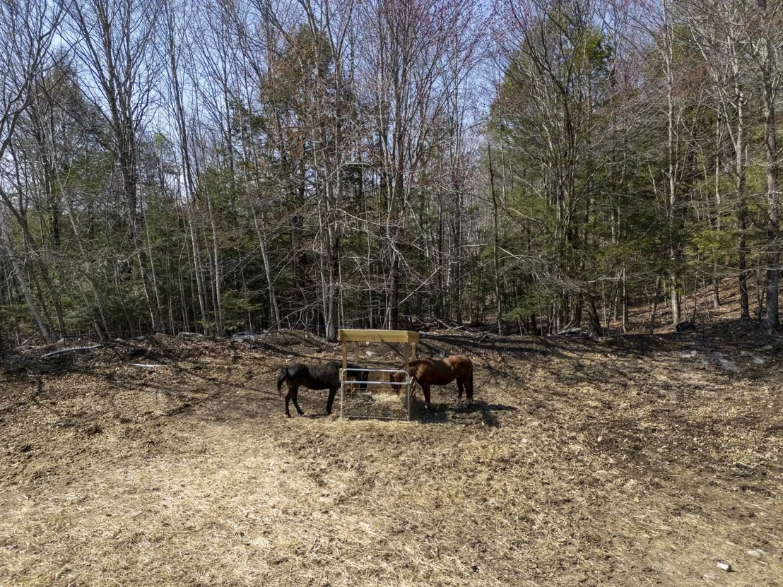 Photo of 73 Mount Delight