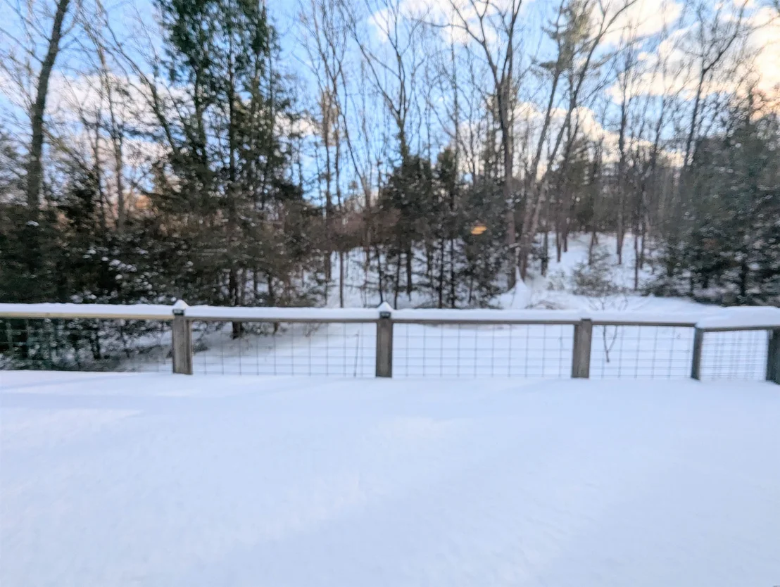 Photo of 56 Whitetail