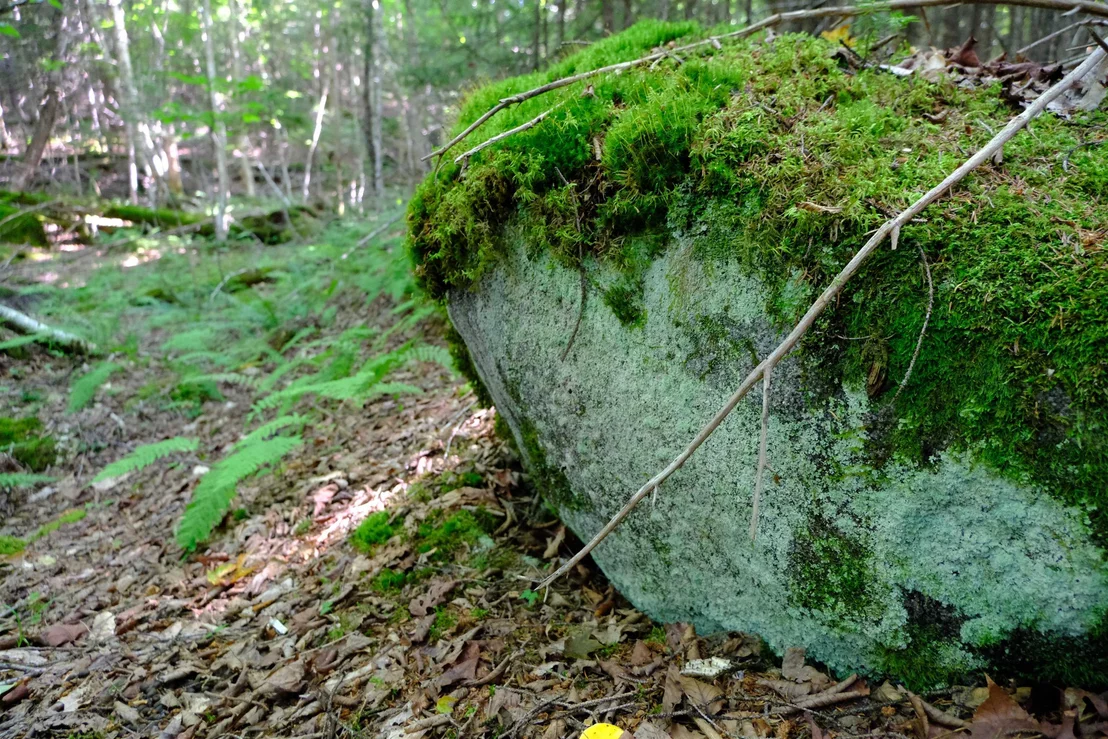 Photo of 0 Calendar Brook