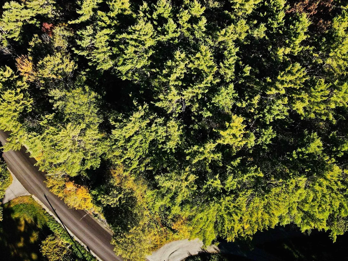 Photo of 0 Jericho