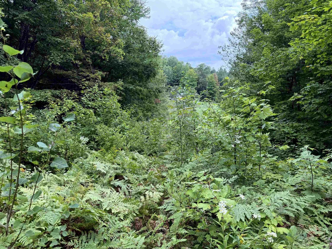 Photo of 4716 Route 5