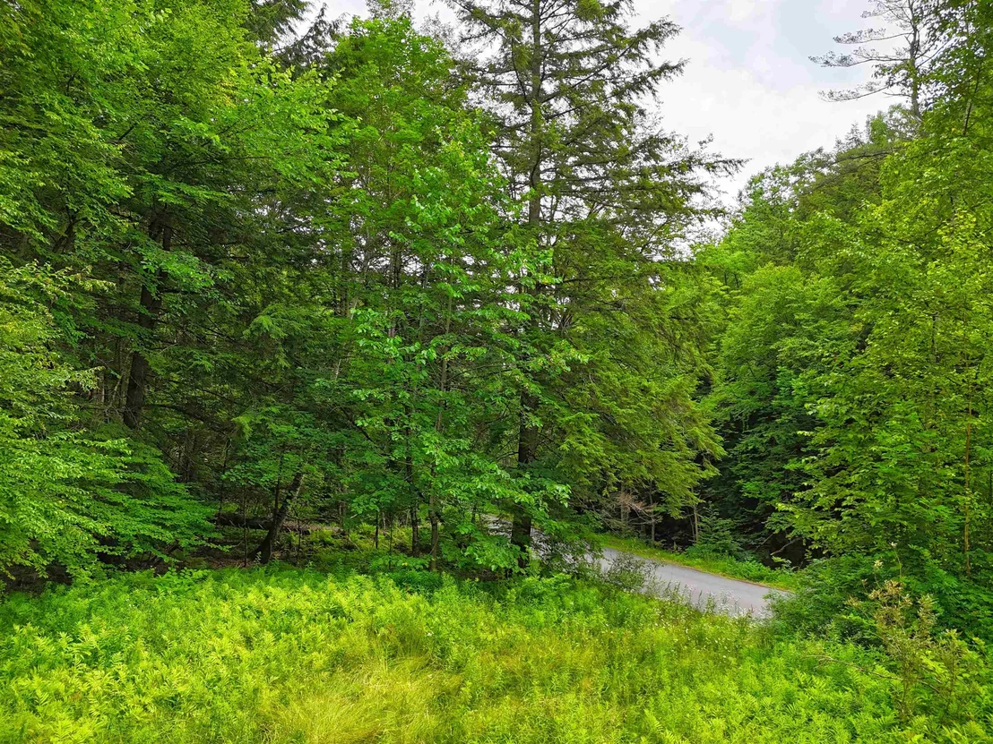 Photo of 341 Seavers Brook