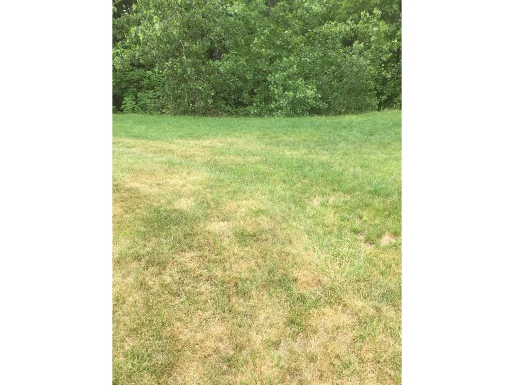 Photo of 23 Bear Path