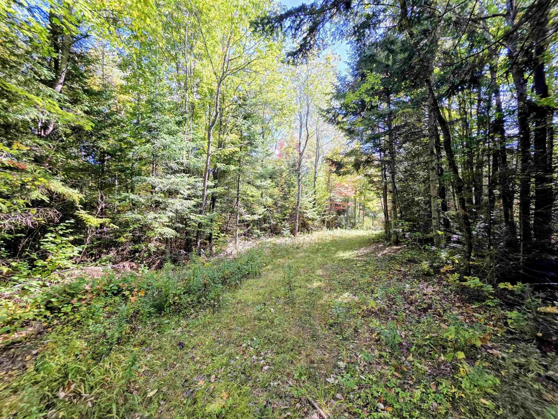 Photo of 255 Gray