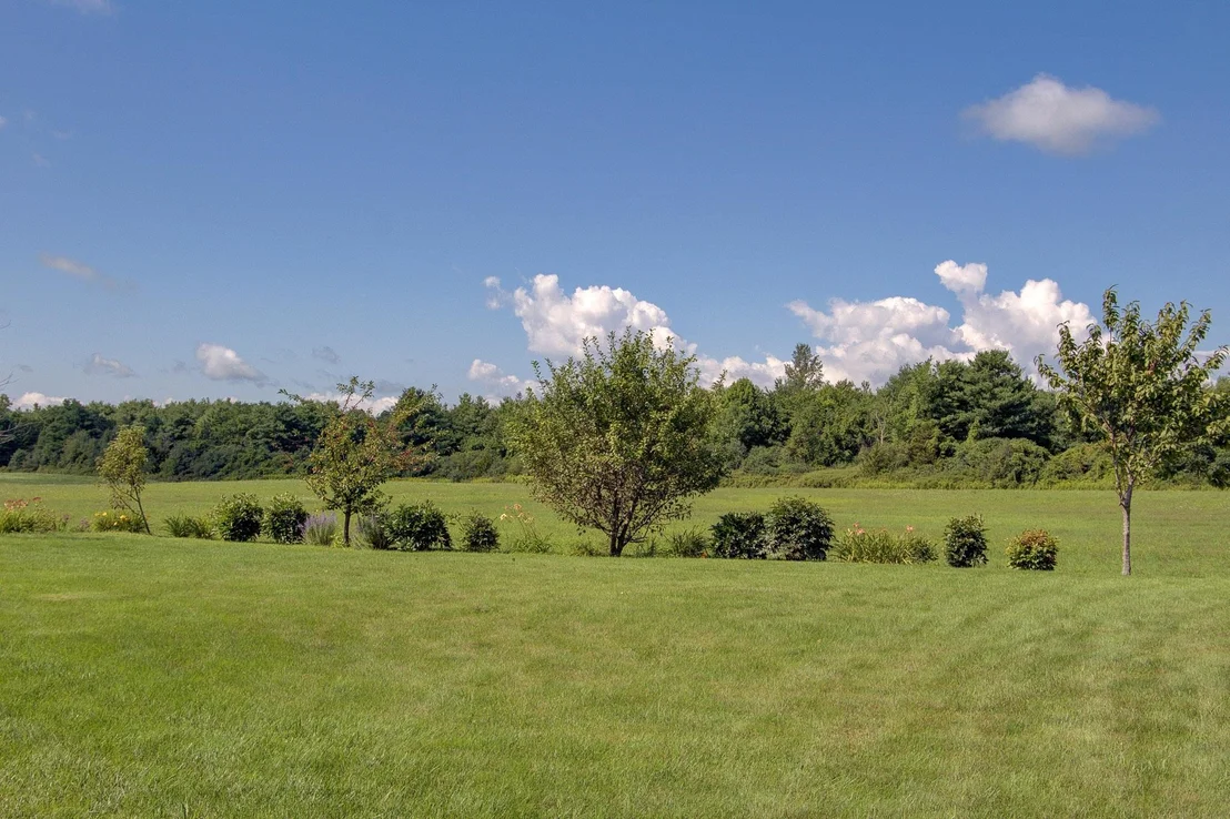 Photo of 307 Rye