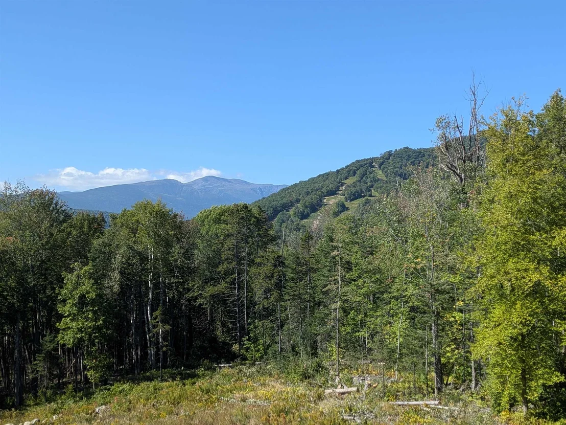 Photo of 32 Mountain View