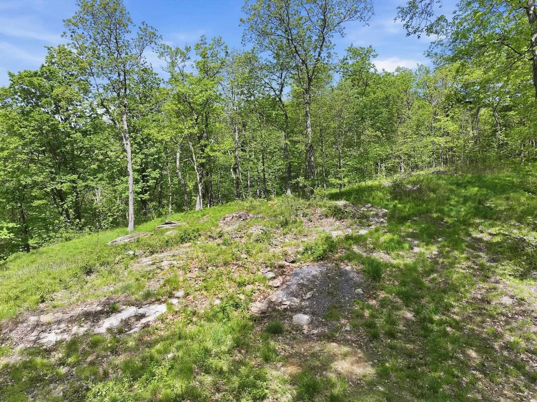 Photo of 189 Shagbark