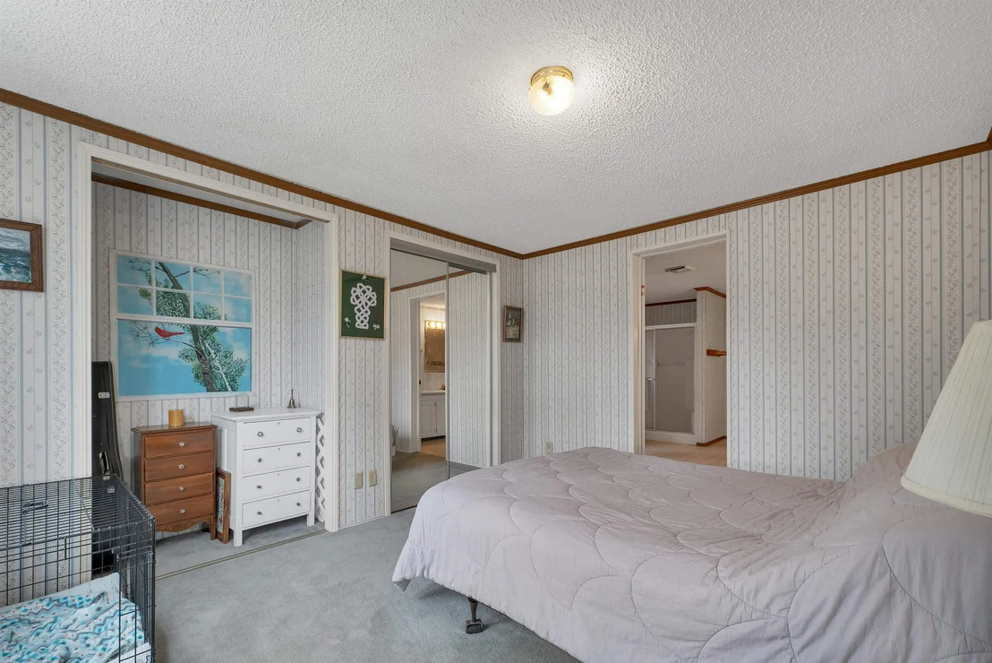 Photo of 9 Hemlock