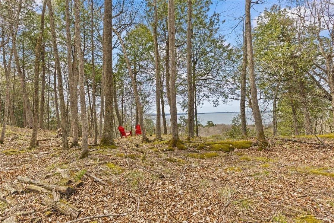 Photo of Unit LOT1 at 0 Bullock