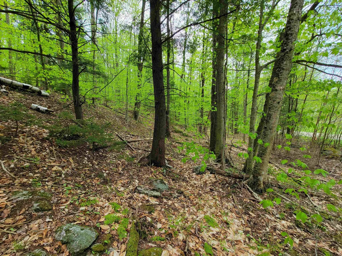 Photo of 660 Brookview