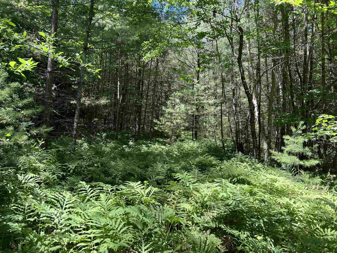 Photo of 000 Upper Mad River