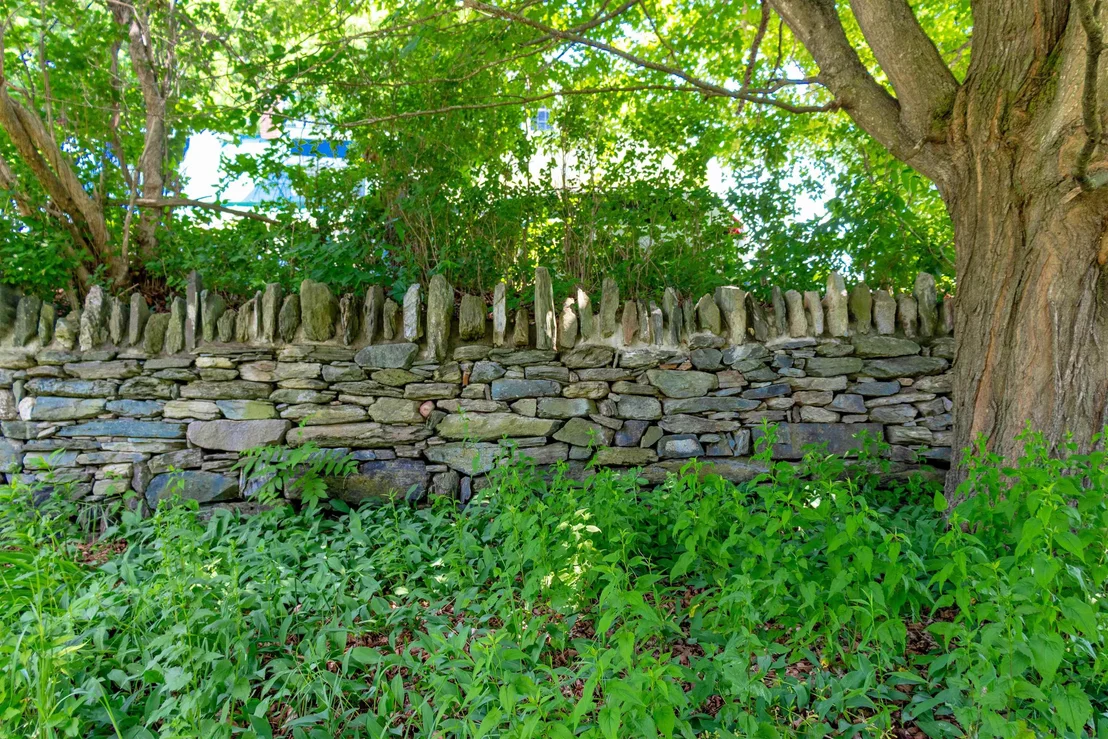 Photo of 535 Oxbow