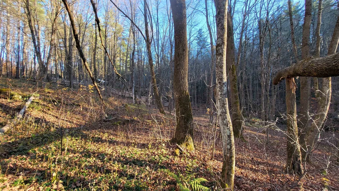 Photo of 535 Collar Hill