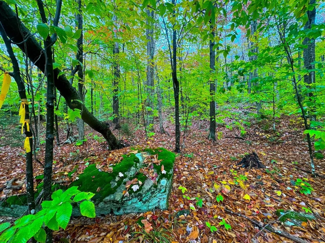 Photo of 0 Cider Mountain
