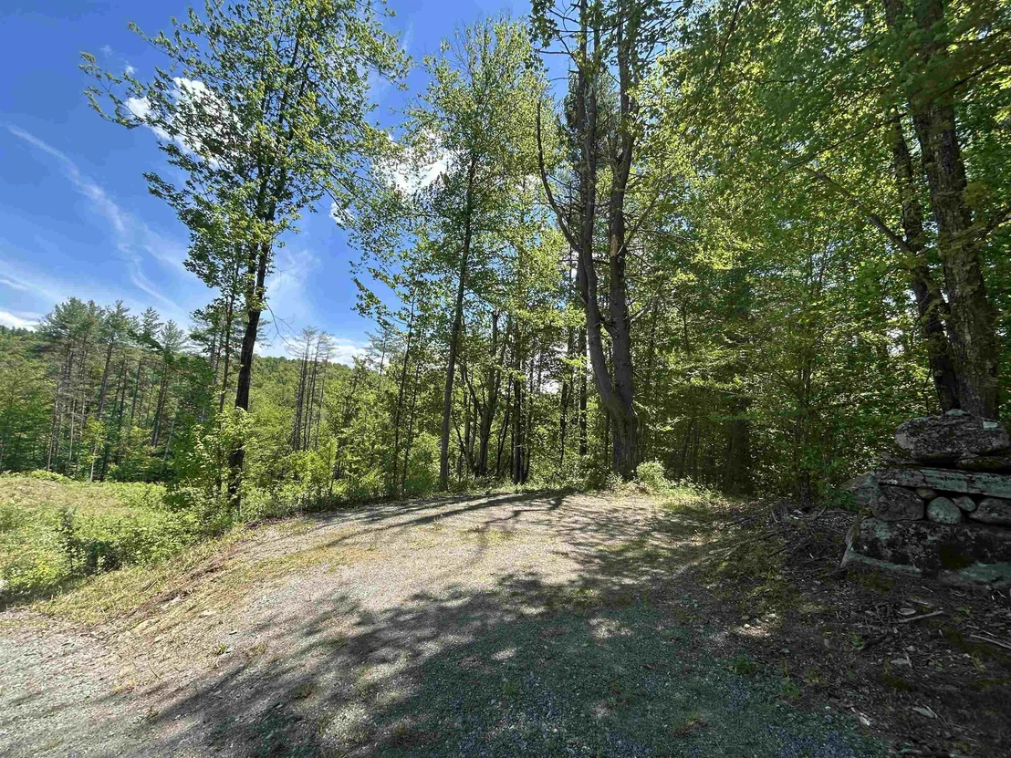 Photo of 14 Sugar Lot