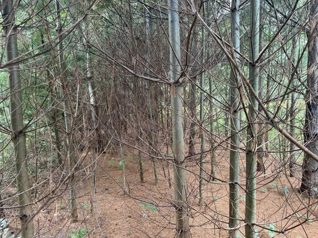 Photo of 0 Route 242