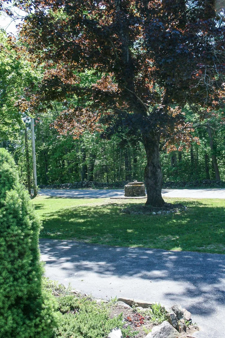 Photo of 98 Haverhill
