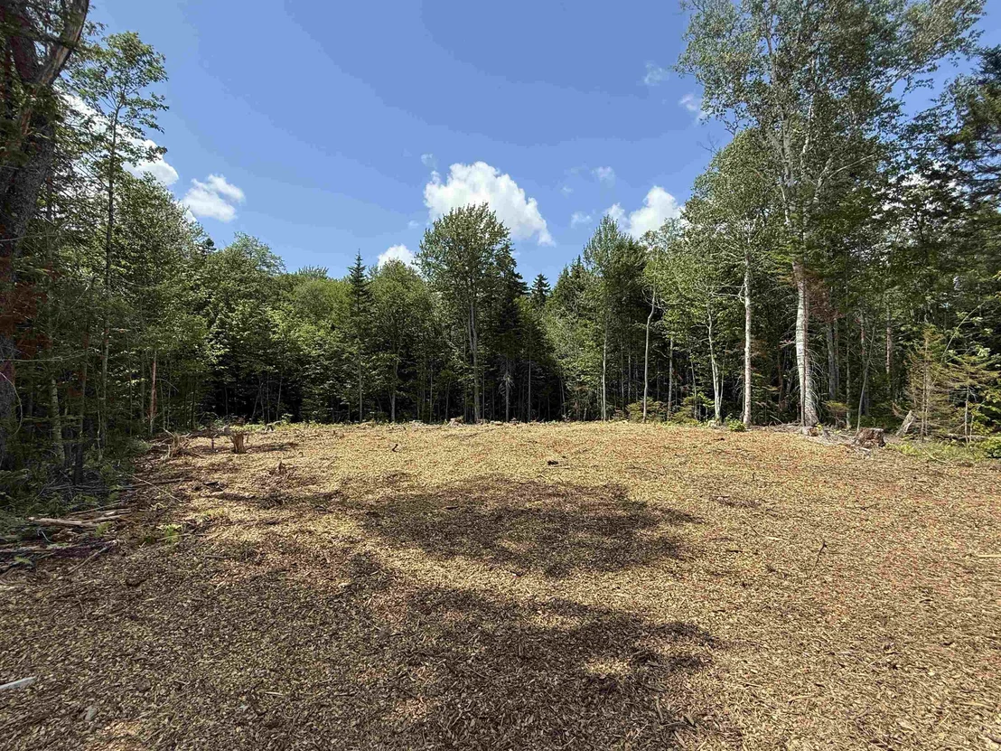 Photo of 81 Mirror Lake
