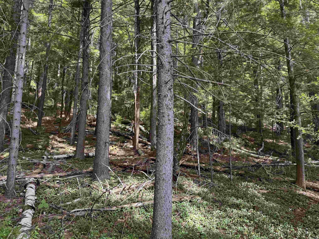 Photo of 00 Lake Hill