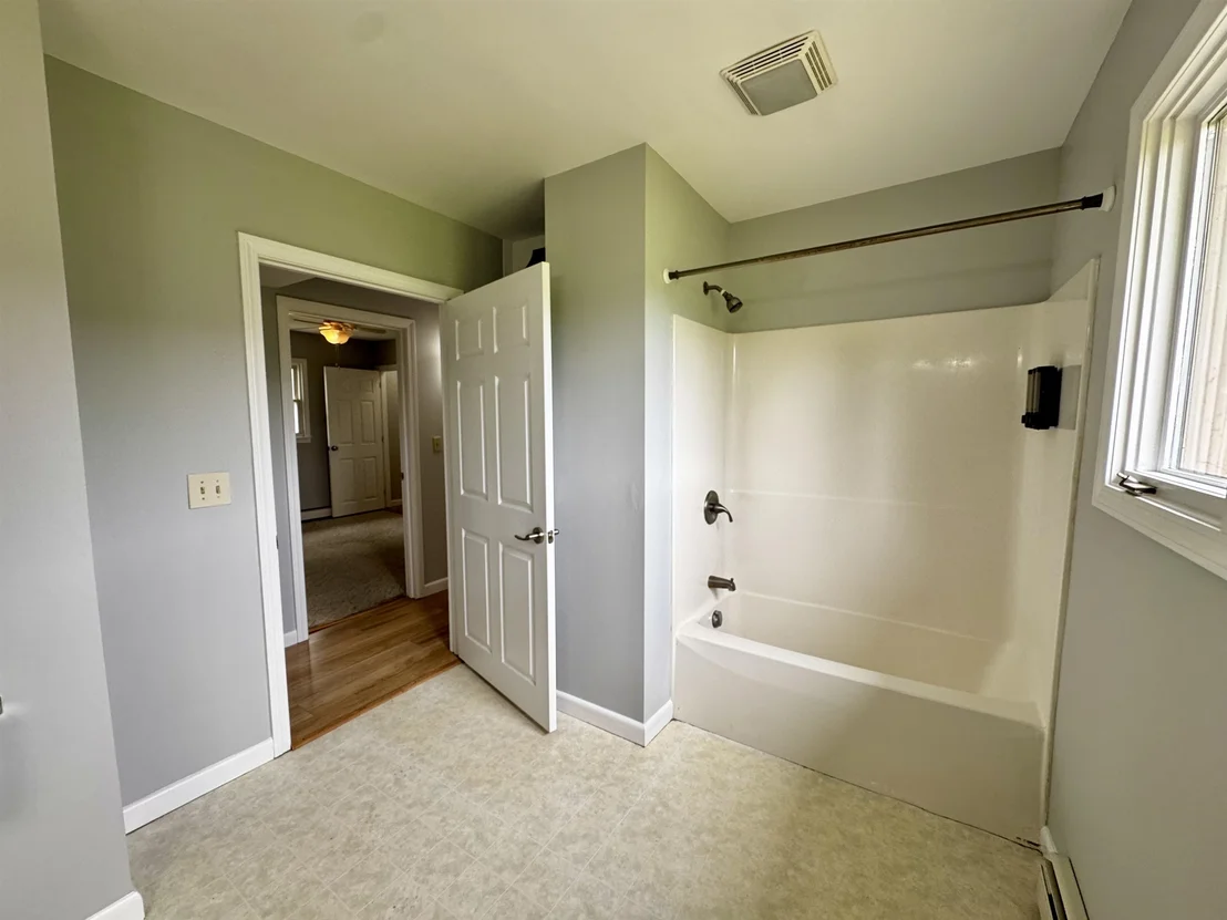 Photo of 152 Blue Spruce