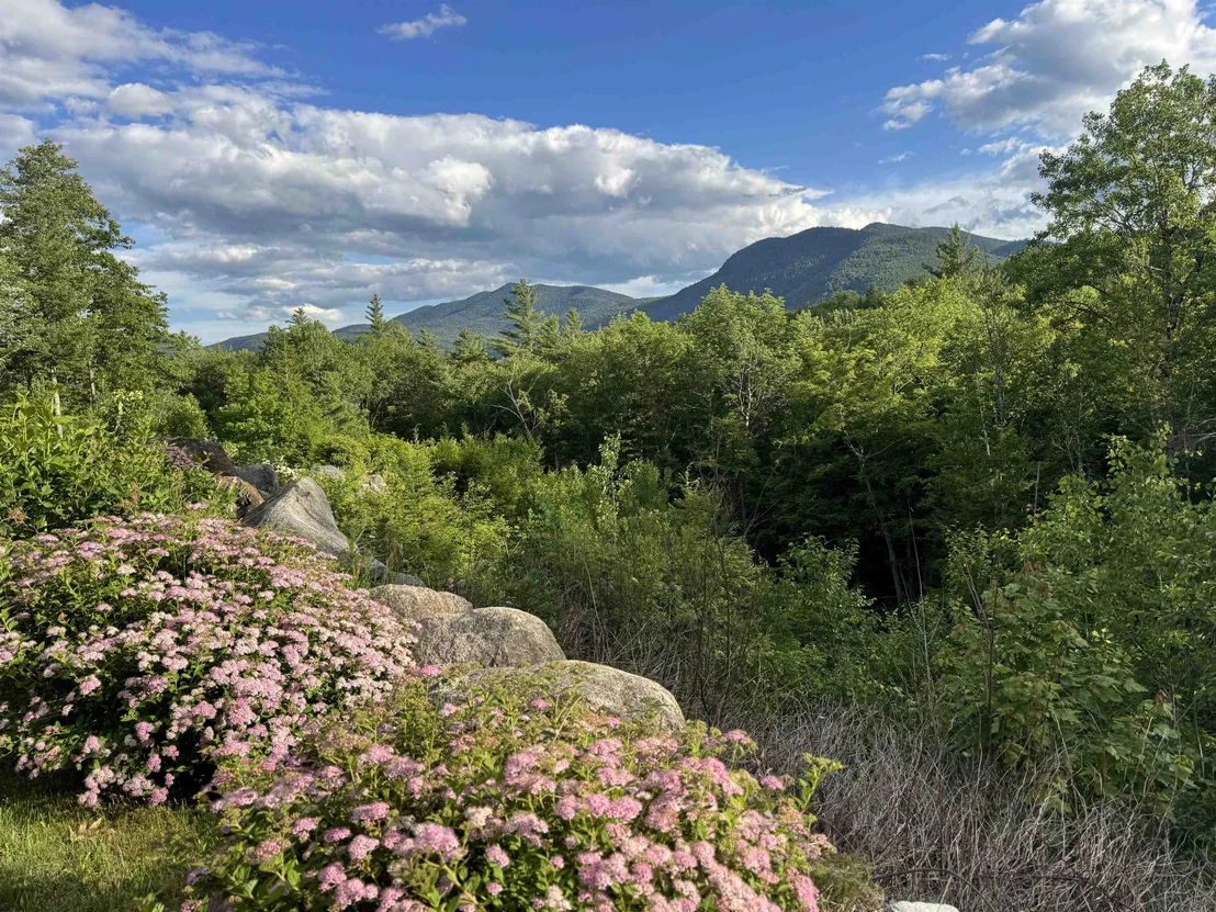 Photo of 38 Table Rock