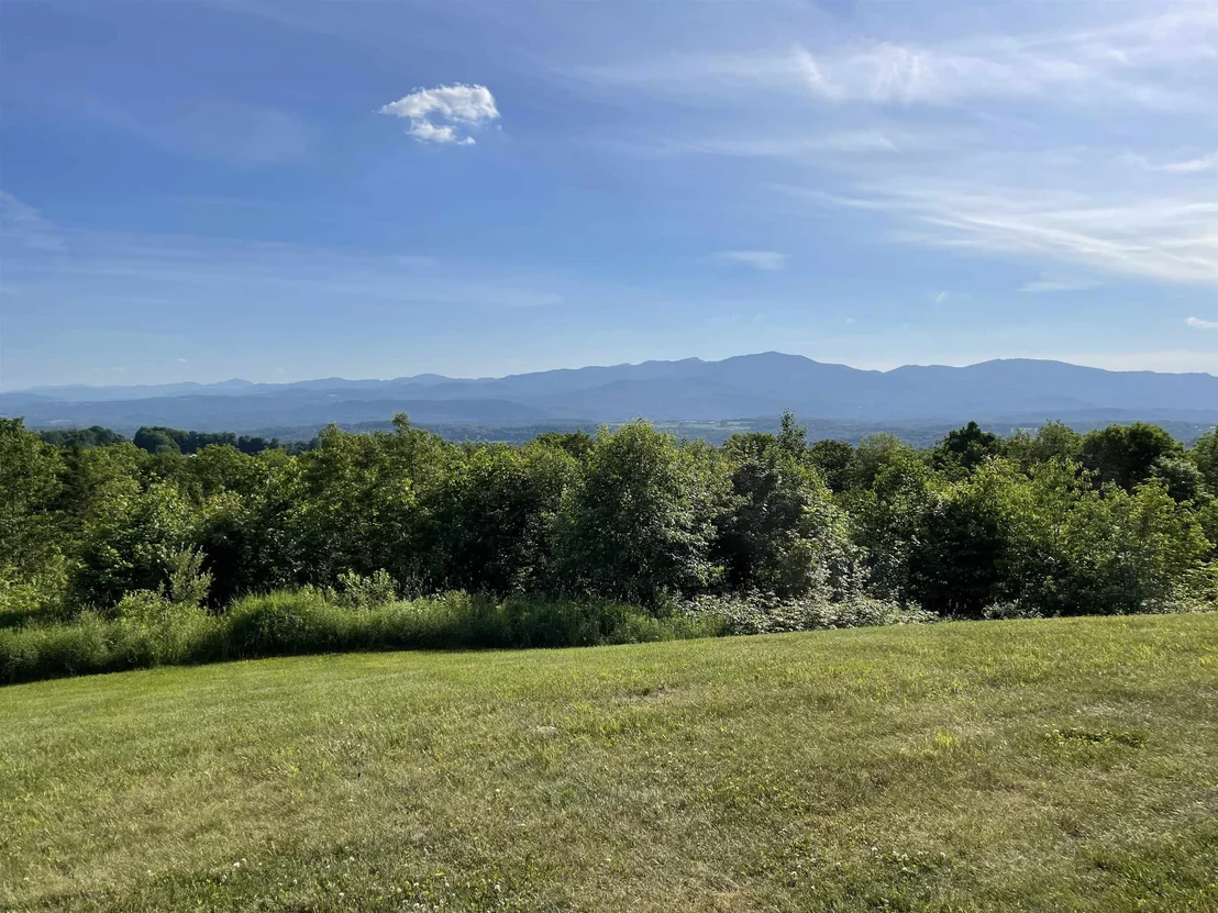 Photo of 501 Diggins