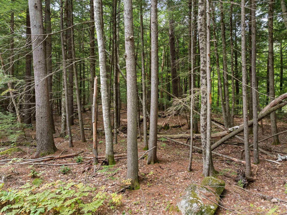 Photo of 32 Forest Pond