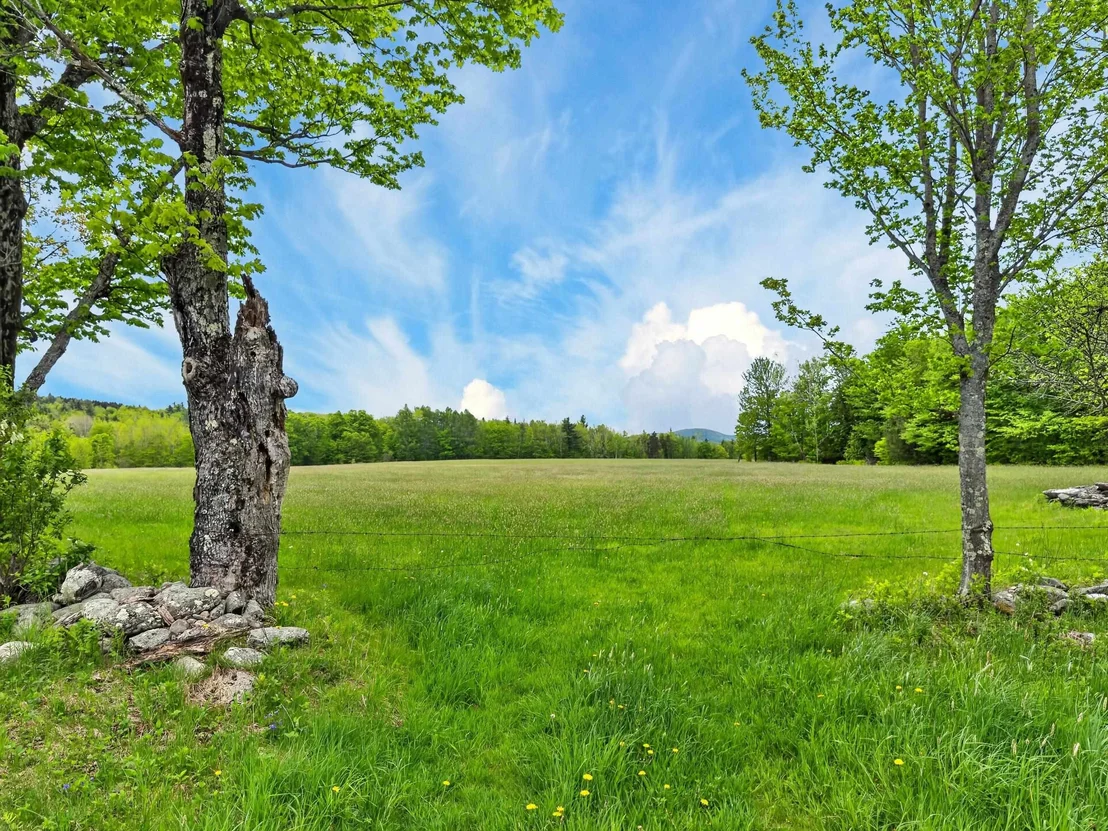 Photo of Lot 0 Saddada